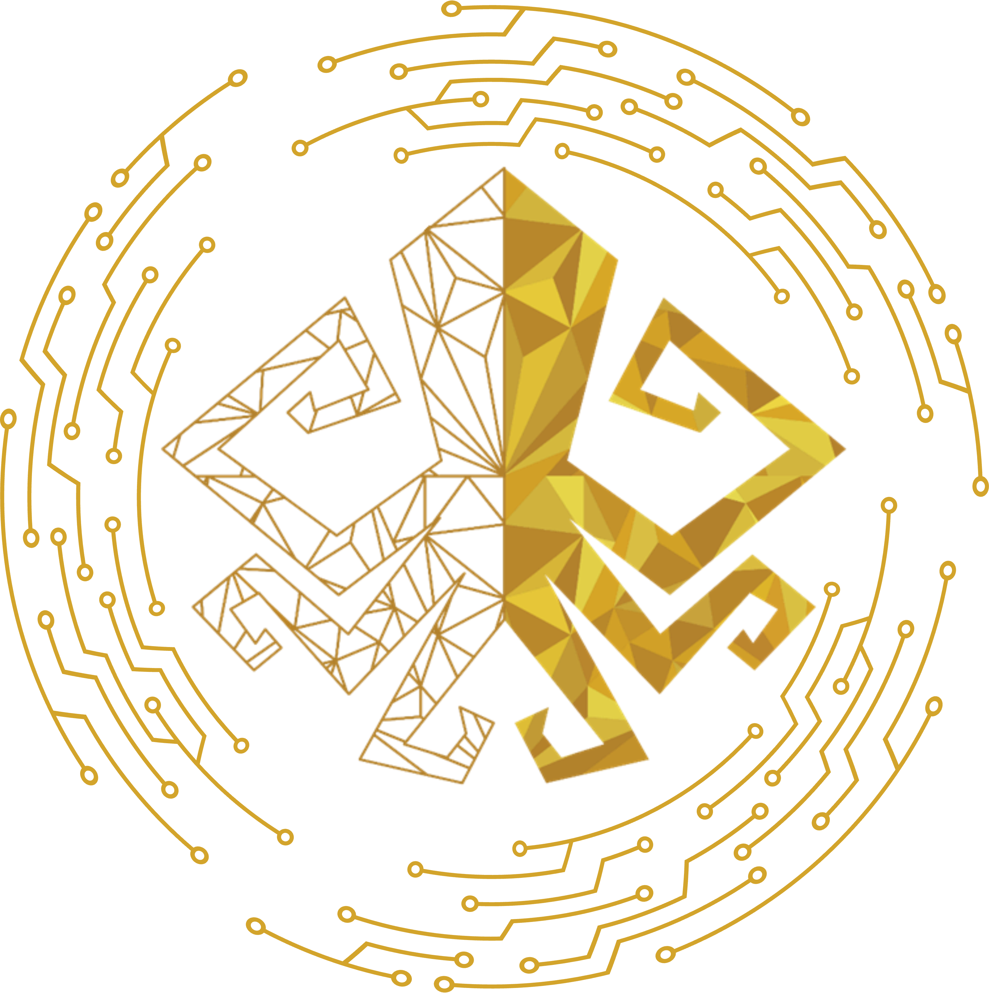 Kraken IO
